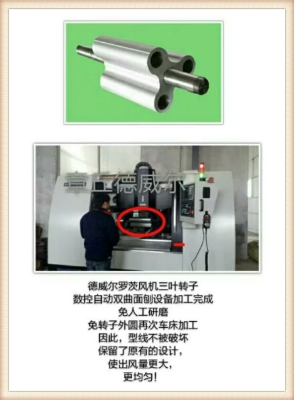 羅茨風(fēng)機(jī)部件圖五 羅茨風(fēng)機(jī)部件圖五